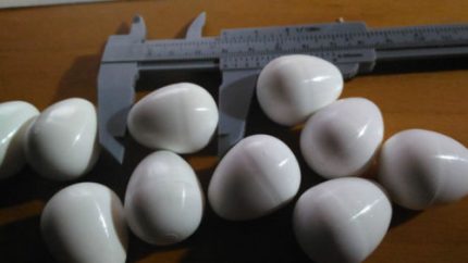 Huevos de Plástico Falso Pequeñas Psitacidas, Periquitos, Ninfas, Agapornis SISAL FIBRE