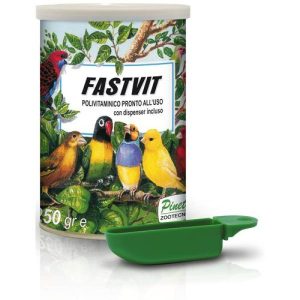 FAST VIT ( Polivitamínico en polvo, para campeones NO DORE ) PINETA