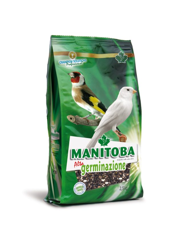 Semilla Alta Germinación Calidad Superior No Doré MANITOBA