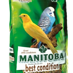 Mixtura de la Salud Best Condition 1 KILOGRAMO Manitoba