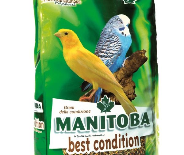 Mixtura de la Salud Best Condition 1 KILOGRAMO Manitoba