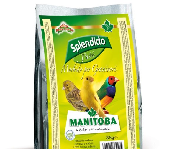 Pasta AMARILLA Morbida SPLENDIDO 19.2 Proteinas MANITOBA