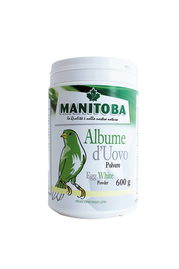 Albume de Uovo 600 GRAMOS ( 78% Proteína Pura Blanca Natural NO Dore ) MANITOBA