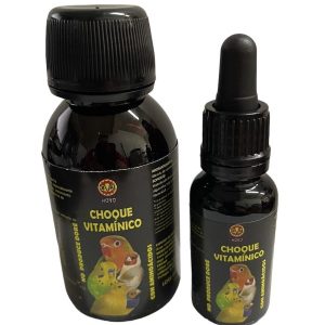 Choque Vitaminico 100 ml DIVAL HOYO