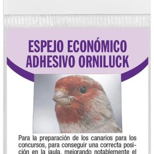 ESPEJO ECONOMICO ADHESIVO ORNILUCK (10uds)