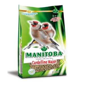 Cardellino Major ( Mixtura para Jilgueros mayor ) MANITOBA