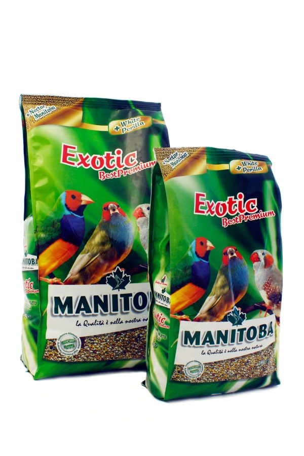 Mixtura Esotici Extra ( Exoticos de Pico corto ) MANITOBA