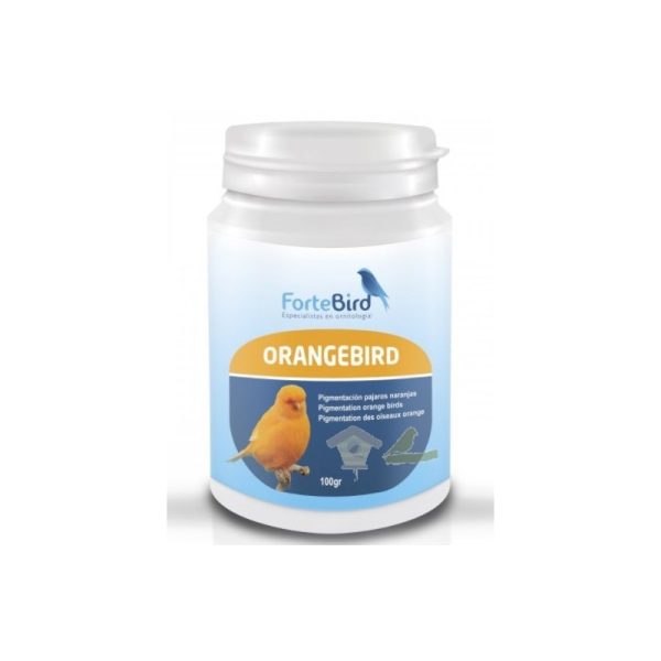 Orangebird (Canarios Norwich y Yorkshire) ForteBird